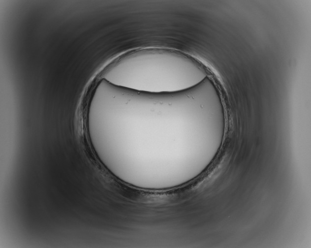 X0000099510925200805151007