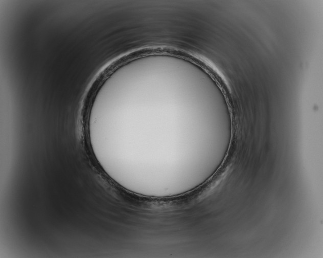 X0000099510927200805151008
