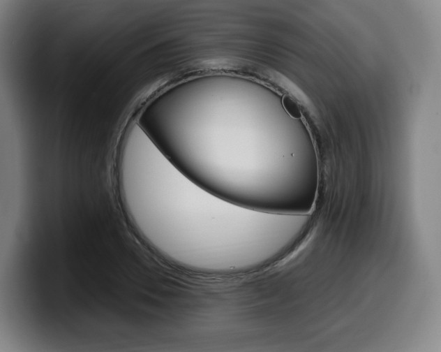 X0000099510930200805151008