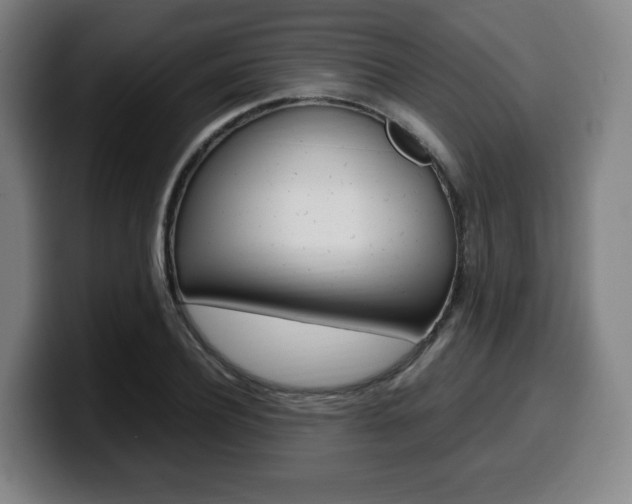 X0000099510932200805151008
