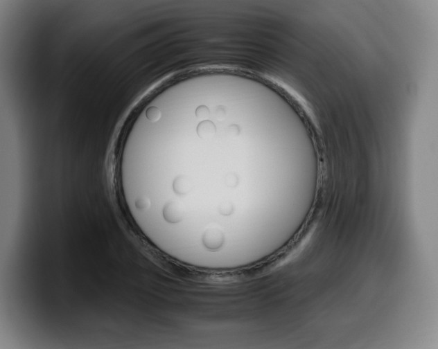 X0000099510933200805151008