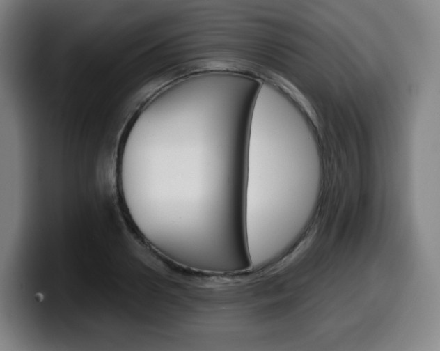 X0000099510938200805151008