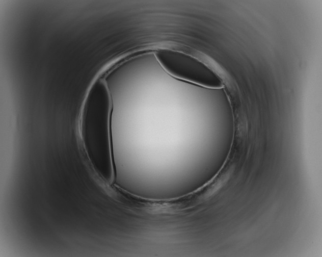 X0000099510940200805151008