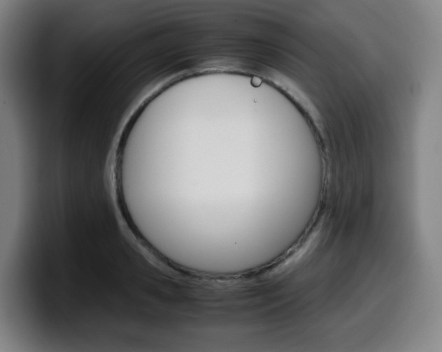 X0000099510941200805151008