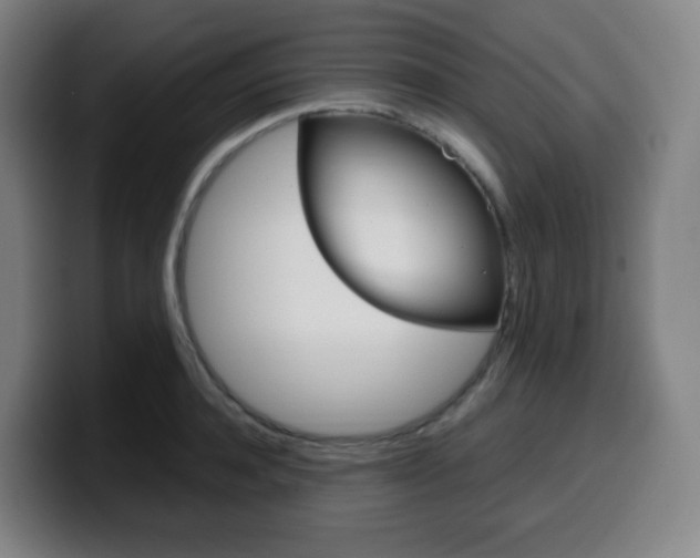 X0000099510944200805151008