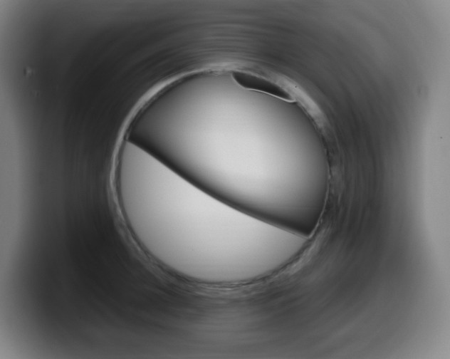 X0000099510948200805151008