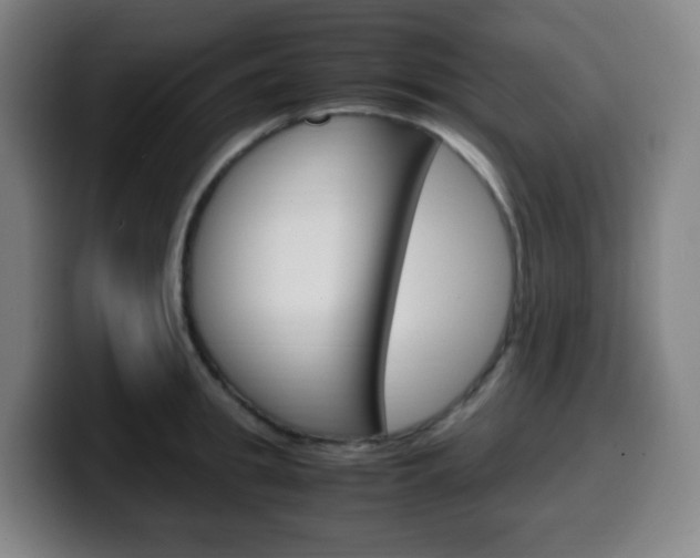 X0000099510949200805151008