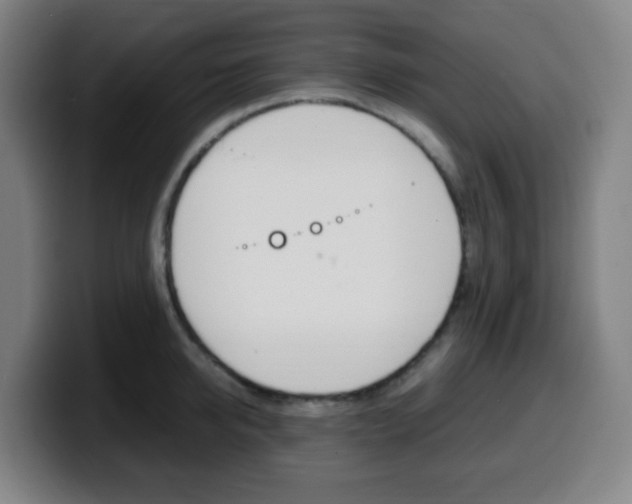 X0000099510950200805151008