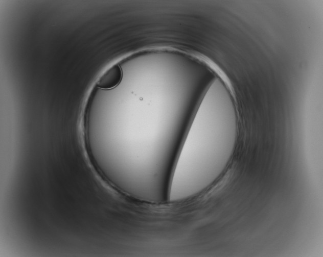 X0000099510951200805151008