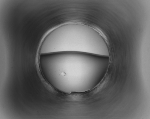 X0000099510952200805151008