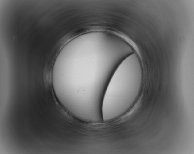 X0000099510953200805151008