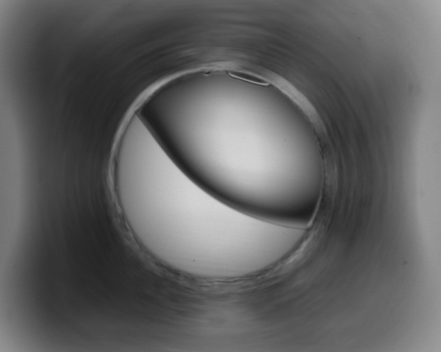 X0000099510956200805151008