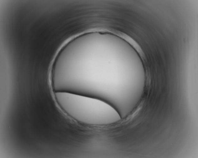 X0000099510958200805151008