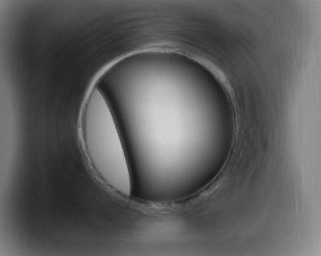 X0000099510960200805151008