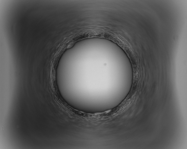 X0000099510961200805151007