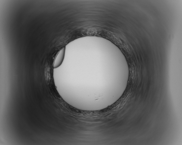 X0000099510962200805151007