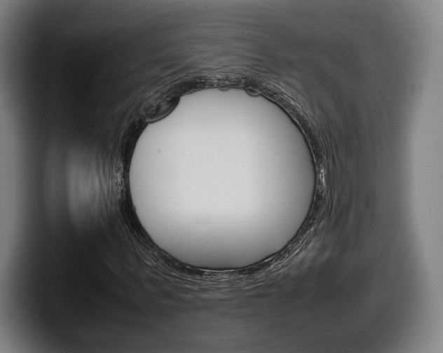 X0000099510963200805151007