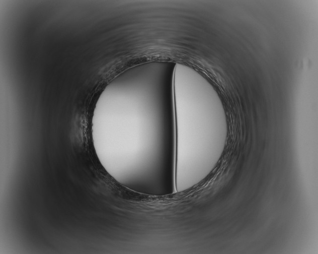 X0000099510964200805151007