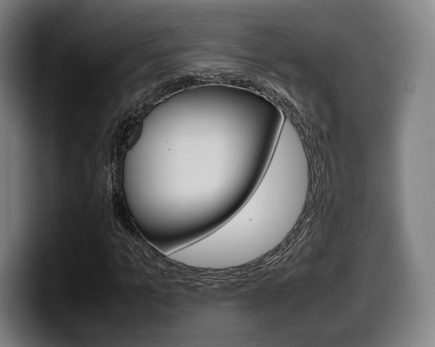 X0000099510965200805151007