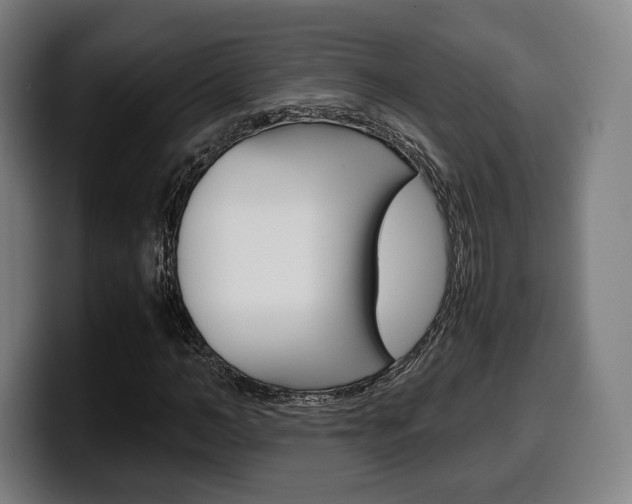 X0000099510966200805151007