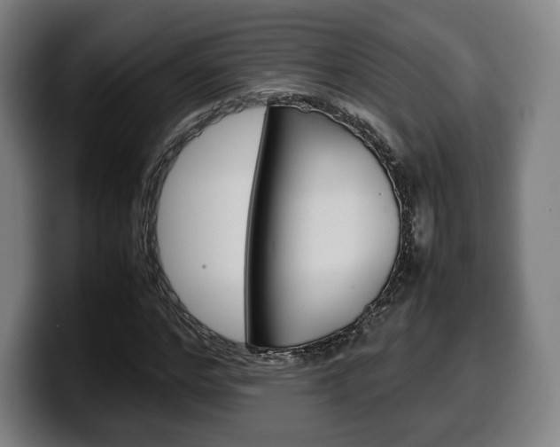 X0000099510968200805151007