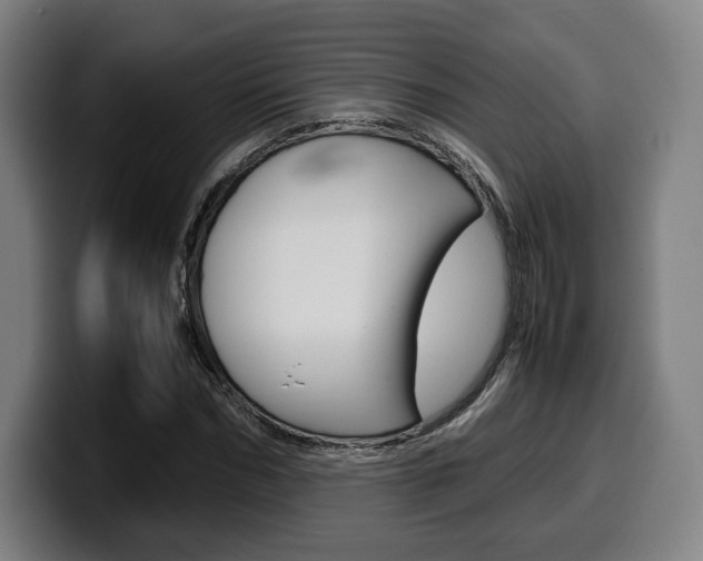 X0000099510970200805151007