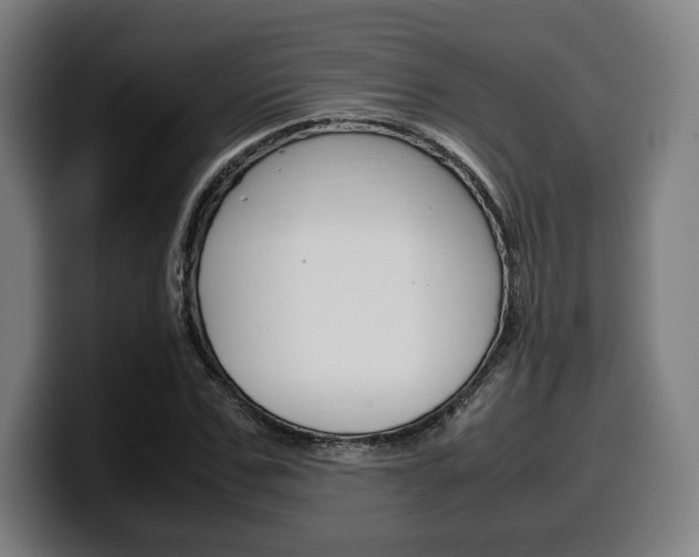 X0000099510971200805151007