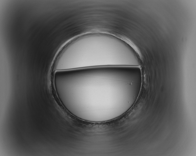 X0000099510972200805151007
