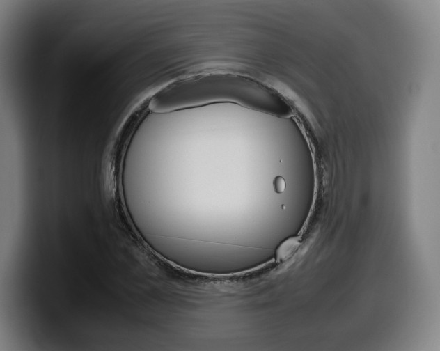 X0000099510973200805151007