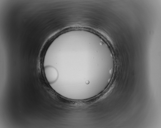 X0000099510974200805151007