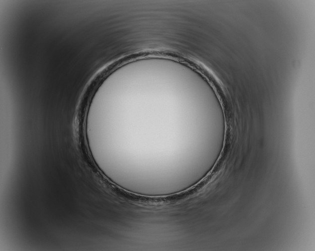X0000099510975200805151007