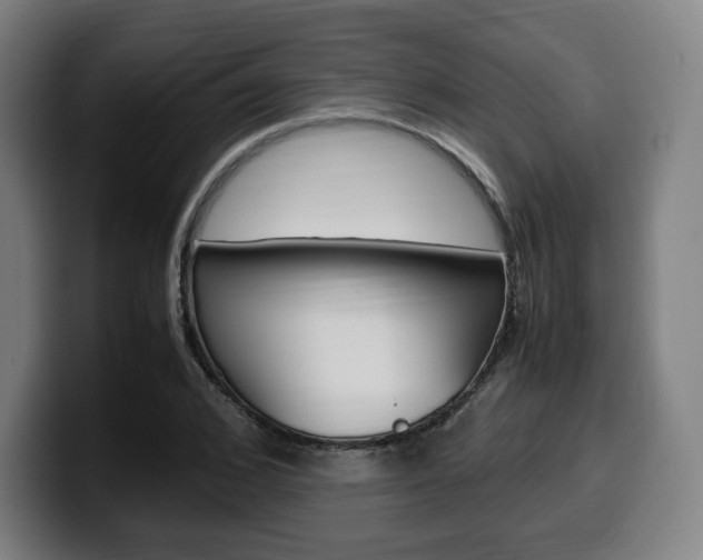 X0000099510976200805151007