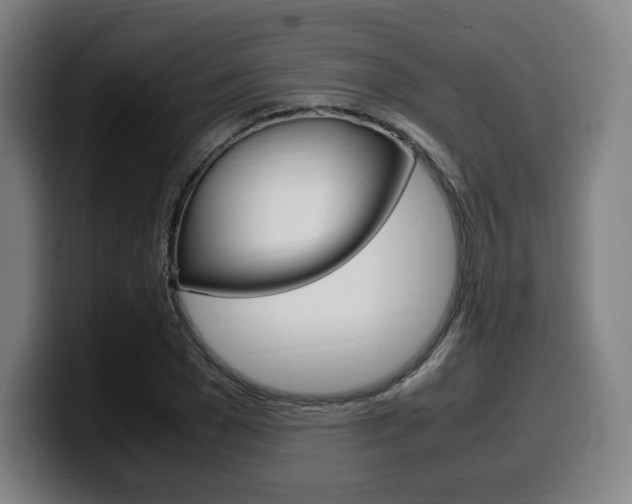 X0000099510977200805151007