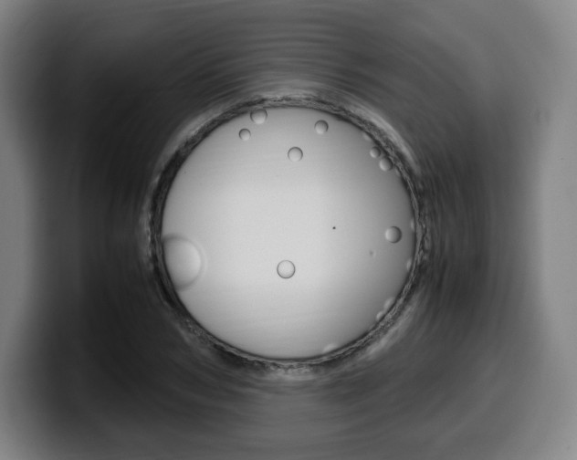 X0000099510978200805151007