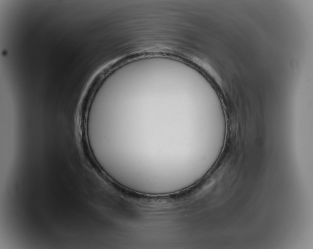 X0000099510979200805151007