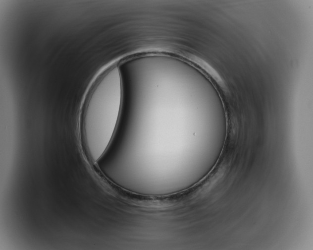 X0000099510980200805151007