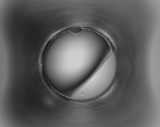 X0000099510981200805151007