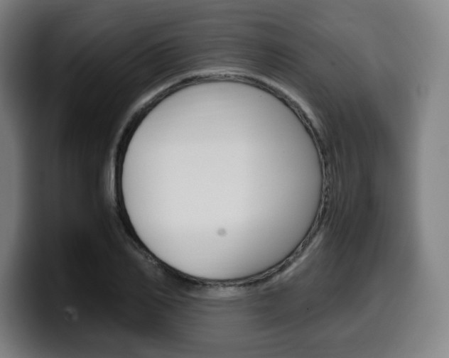 X0000099510982200805151007