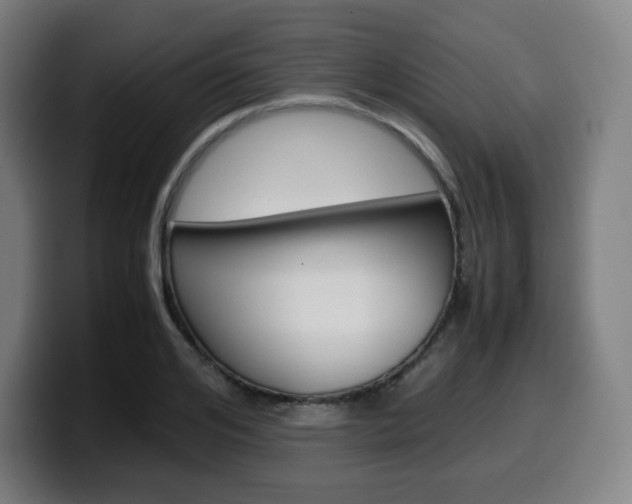 X0000099510984200805151007