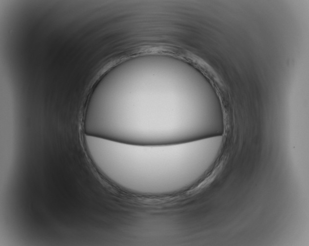 X0000099510985200805151007