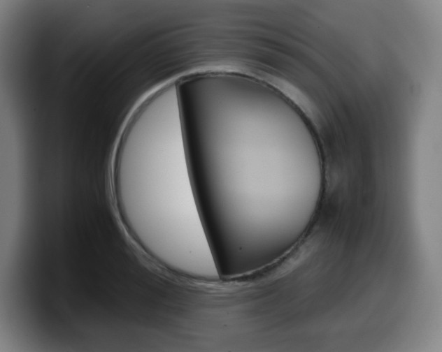 X0000099510988200805151007