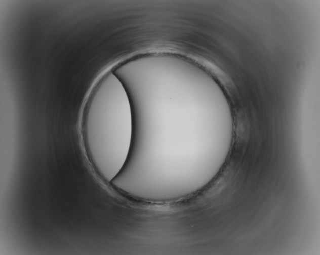 X0000099510990200805151007