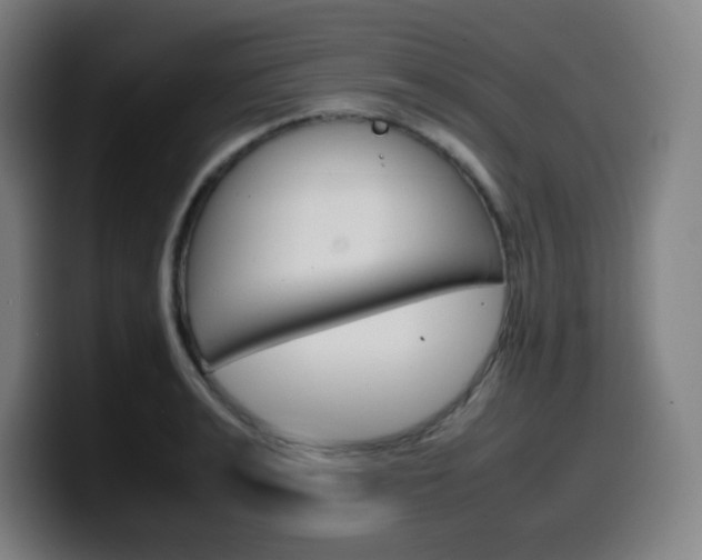 X0000099510991200805151007