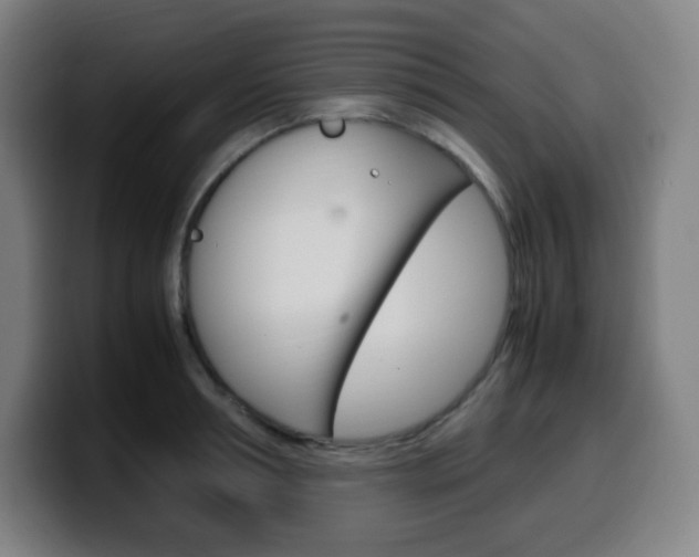 X0000099510994200805151007