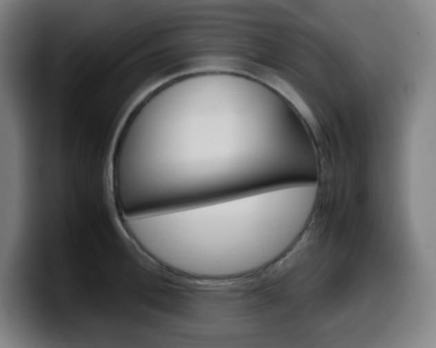 X0000099510996200805151007