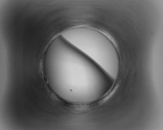 X0000099511001200805151007