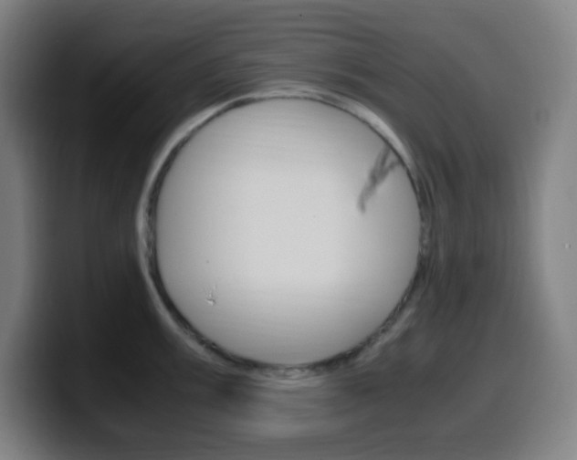 X0000099511003200805151007