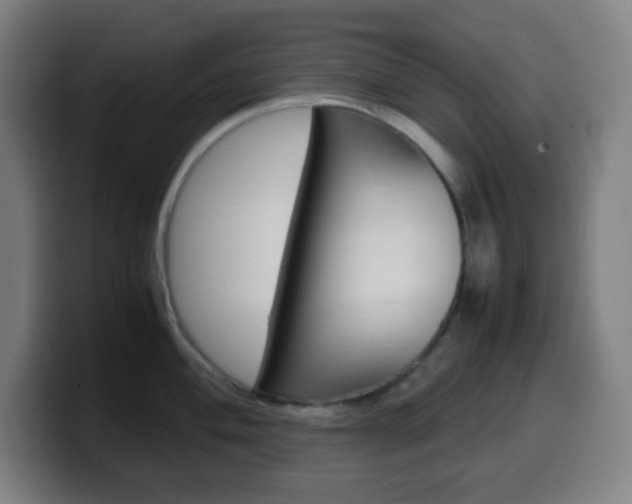 X0000099511004200805151007