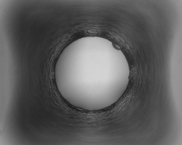 X0000099511009200805151006