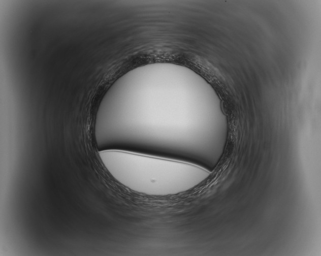 X0000099511010200805151006